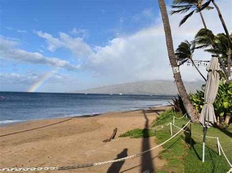 Kihei HI Condos & Apartments For Sale - 83 Listings | Zillow