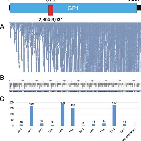 Summary Of De Novo Soybean Transcriptome Assembly Using Trinity Download Table