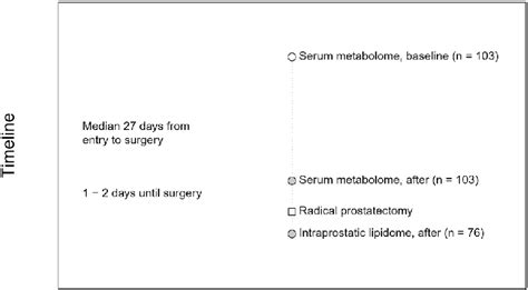 Schematic Representation Of The Serum Lipid And Lipoprotein Lipid And