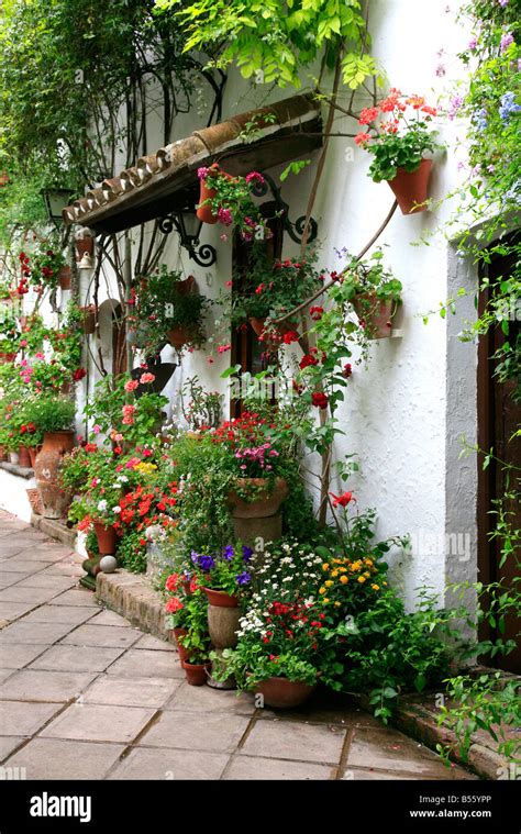 Plant Pots In A Mediterranean Courtyard Garden Part Of The Festival Of