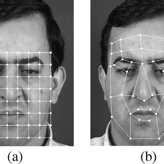 (PDF) Learning Discriminant Person-Specific Facial Models Using Expandable Graphs