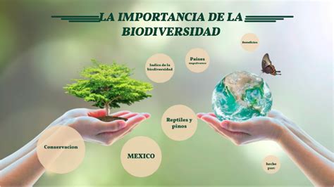 Importancia De La Biodiversidad Y Su Cuidado En 2020 La Biodi Nbkomputer