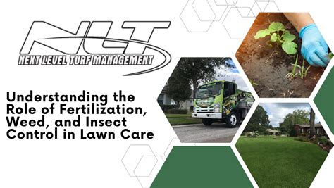 Fertilization Weed And Insect Control The Basics Of Lawn Care