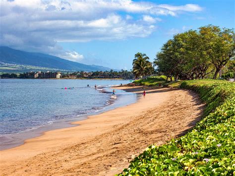 Maui Beach Parks Self-Guided Driving Tour by Action Tour Guide