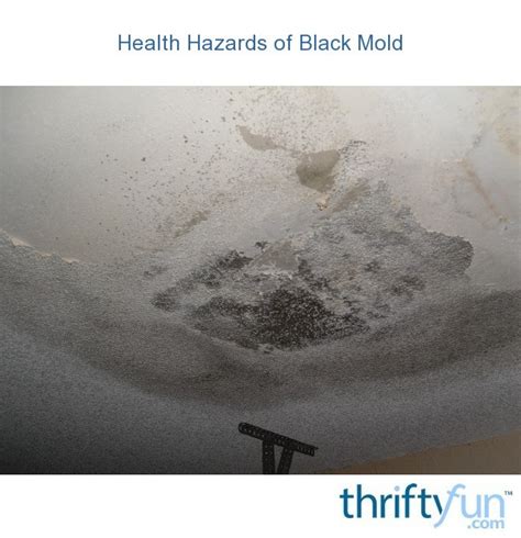 Health Hazards of Black Mold | ThriftyFun