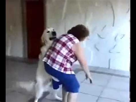 Fudeu Com O Cachorro - Mulher metendo com cachorro YouTube - YouTube