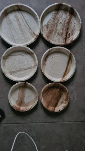 Inch Areca Leaf Plate At Rs Piece Pakku Mattai Plate In