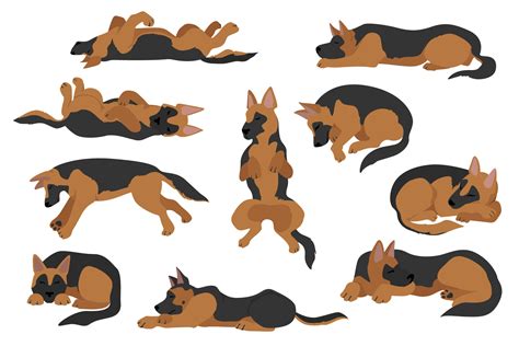 Sleeping Dogs Graphic by pet design shop · Creative Fabrica