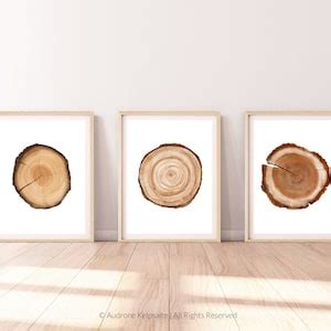 Tree Ring Printable Wall Art Set Of 3 Tree Stump Instant Etsy