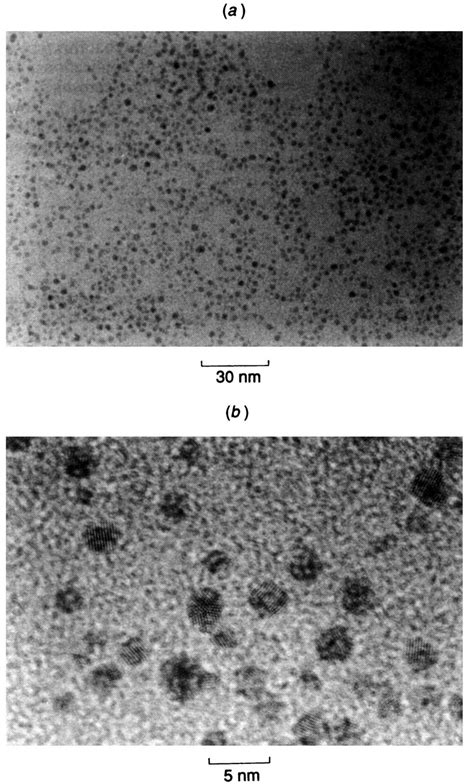 Tem Pictures Of The Thiol Derivatised Gold Nanoparticles At A Low And