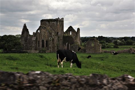 Hore Abbey (Ruins)