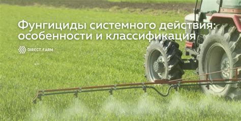 Системные фунгициды: особенности и классификация