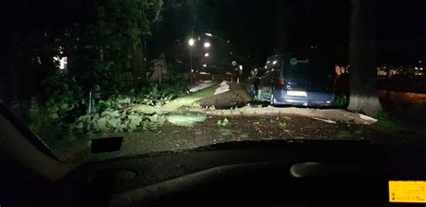 Wáát Een mini tornado omgevallen bomen en meer storm in Woerden