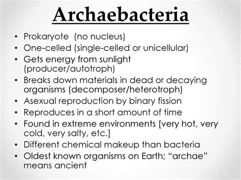 Archaebacteria Characteristics