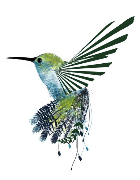 Hummingbird Drawings - ClipArt Best