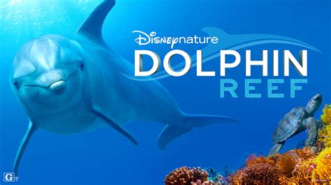 Movie Review: Disneynature "Dolphin Reef" - LaughingPlace.com