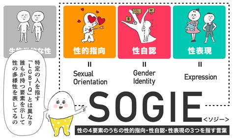 Lgbtqとかsogieってなに？性の多様性の基本的な知識「性のあり方は、ひとそれぞれ」 セイシル