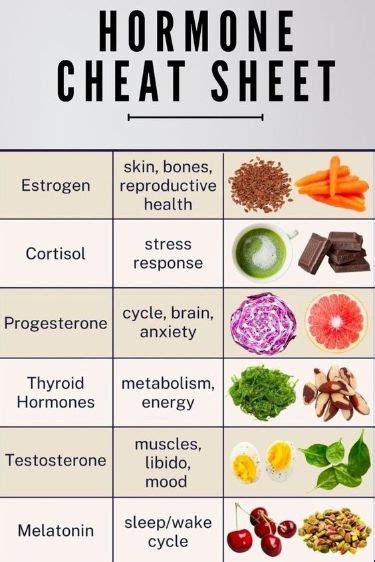 Hormone Cheat Sheet Everything You Need To Know Hormone Nutrition Foods To Balance Hormones