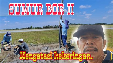 Cara Petani Mengatasi Kekeringan Youtube