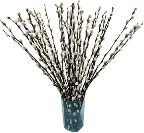 Amazon Stems Natural Dried Pussy Willow Branches For Vases Inches Decorative Branches