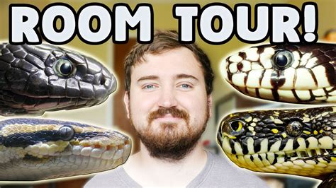 Reptile Room Tour And Feeding All My Pets Youtube