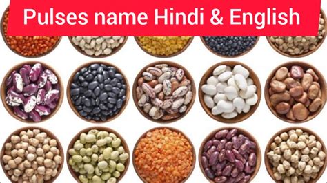 Pulses Name Pulses Name In Hindi And English