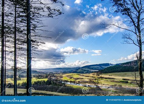 A View Of Spring Lawns Forests And Hills Of Cardrona Area Of Sc Stock