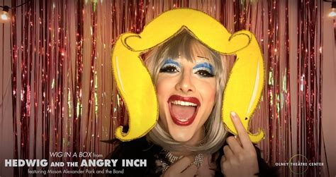 Hedwig And The Angry Inch Wig