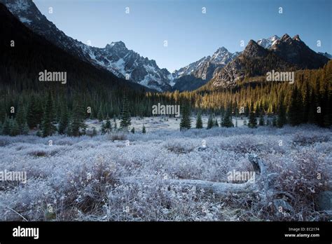 Hoar frost on the Stuart Lake Trail in The Enchantments, Washington ...