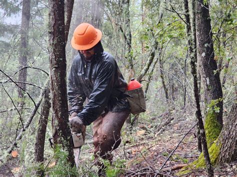 Community Tour Of Upper Applegate Watershed Restoration Project