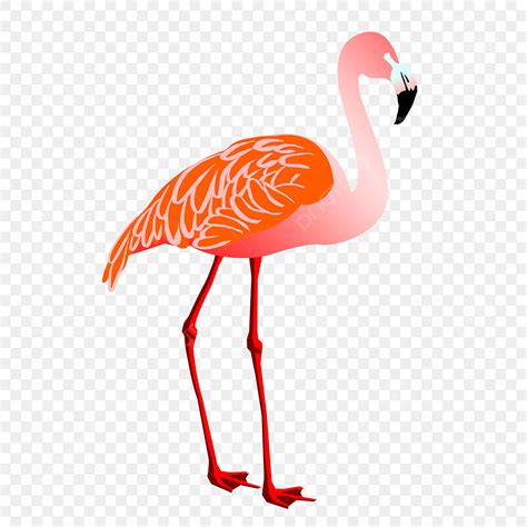 Flamingo Legs Texture