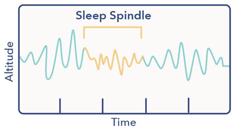 N2 Sleep K Complexes And Sleep Spindles Sleepopolis