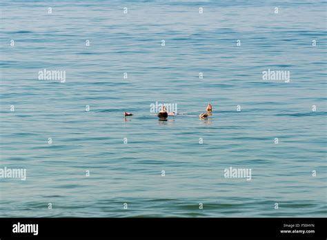 Frau Im Bikini Am Meer Fotos Und Bildmaterial In Hoher Aufl Sung Alamy