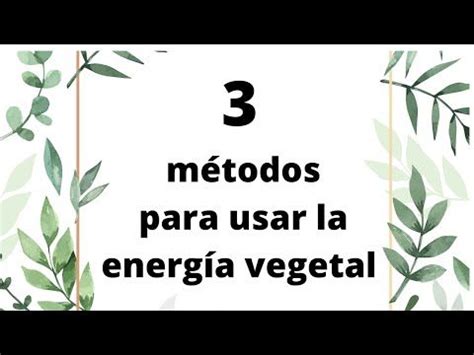 M Todos Para Usar La Energ A De Las Plantas Aprende A Usar La