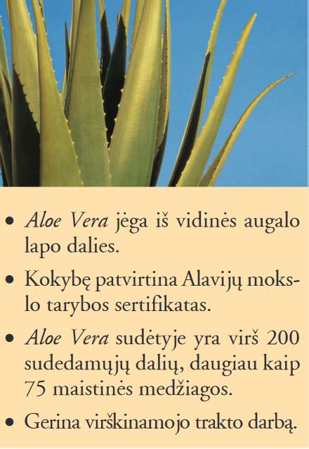 Aloe Vera Sultys Forever Produktai