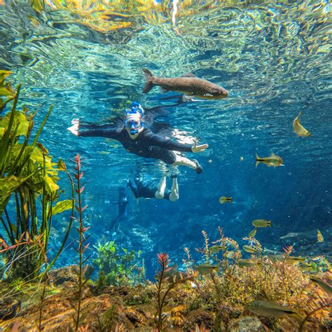 Nascente Azul Flutuação Águas Turismo