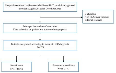 Cancers Free Full Text Comparable Overall Survival In Patients With Hepatocellular Carcinoma