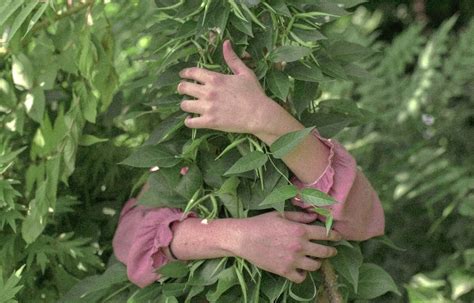 Bien Tre Pourquoi La Nature Nous Fait Vraiment Du Bien Et Comment