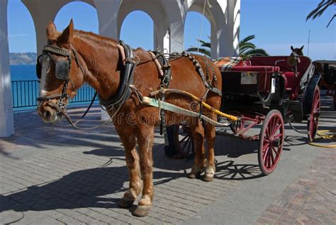 Horse & Carriage, Balcony of Europe, Nerja, Spain. Stock Image - Image of europa, archway: 24174673