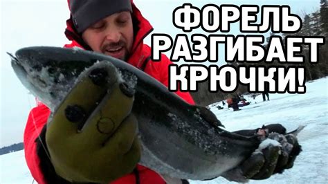 Зимняя СУПЕР рыбалка! Мощная форель. Встреча с рыбнадзором. - YouTube