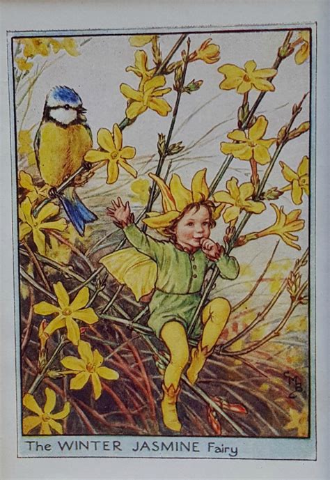 Flower Fairy Mounted Vintage Print Winter Jasmine Fairy Cicely Mary