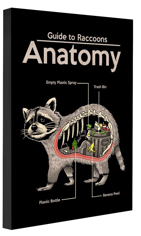 Anatomy of a Raccoon – BLUE SHAKER