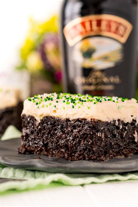 Chocolate Irish Cream Cake Recipe Sugar Soul