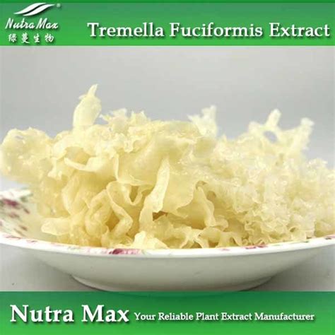 China 100% Natural Tremella Fuciformis Extract 40% Polysaccharides ...