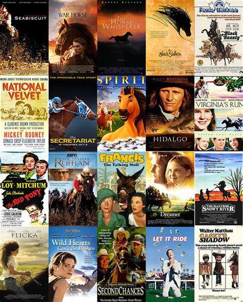 Movie Night? 20 Movies Every Horse Lover Should Watch