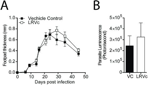 Immunisation With Lrv C Alone Did Not Induce Protection Mice Were