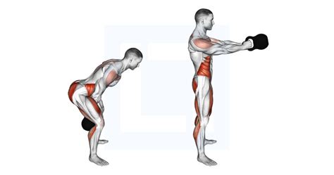 Barbell Glute Bridge - Guide, Benefits, and Form