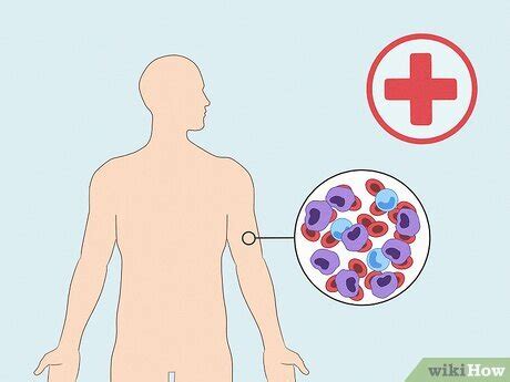 How To Lower Hematocrit Levels With Pictures Wikihow