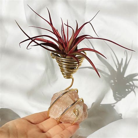 Crystal Wire Air Plant Holder Free Live Air Plant Included Etsy