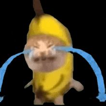 Banana Cat Crying GIF - Banana cat crying - GIF を見つけて共有する